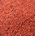 Garden Cress Seeds