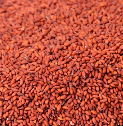 Garden Cress Seeds
