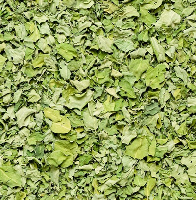 Dried Moringa Leaves